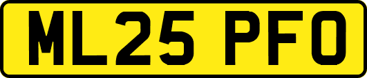 ML25PFO