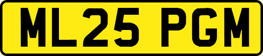 ML25PGM