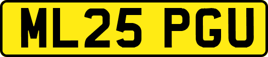 ML25PGU