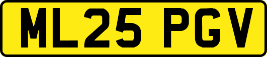 ML25PGV