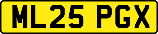 ML25PGX