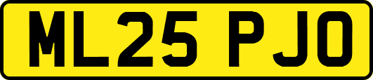 ML25PJO