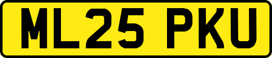 ML25PKU