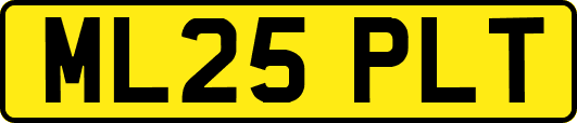 ML25PLT
