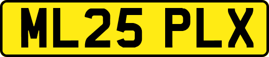 ML25PLX