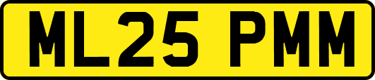 ML25PMM