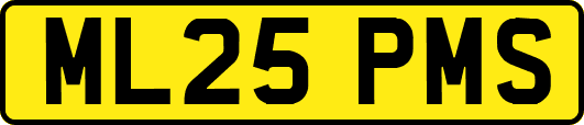 ML25PMS