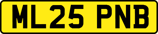 ML25PNB