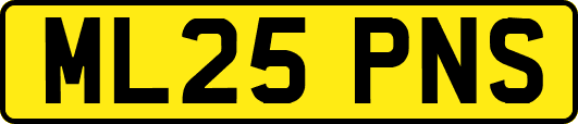 ML25PNS