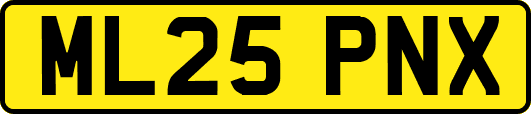 ML25PNX