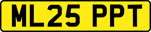 ML25PPT