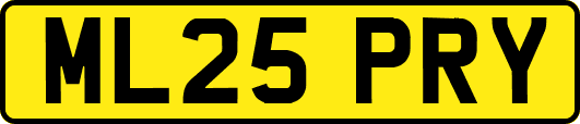 ML25PRY