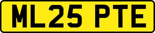 ML25PTE
