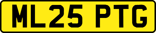 ML25PTG