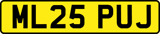 ML25PUJ