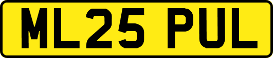 ML25PUL