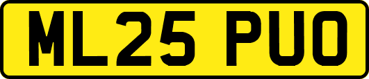 ML25PUO