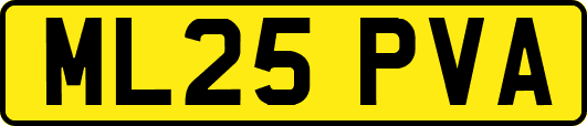 ML25PVA
