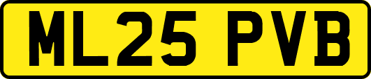 ML25PVB