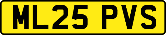 ML25PVS
