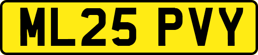 ML25PVY