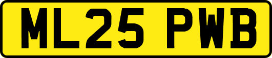 ML25PWB