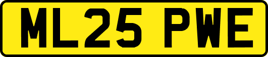 ML25PWE