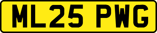 ML25PWG