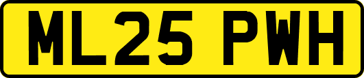ML25PWH