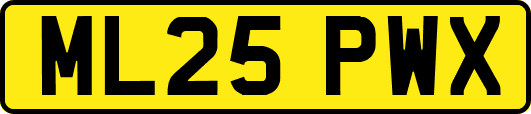 ML25PWX