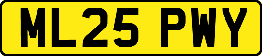 ML25PWY