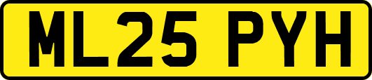 ML25PYH