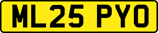 ML25PYO
