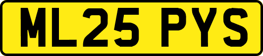 ML25PYS
