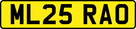 ML25RAO