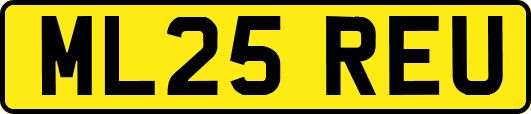 ML25REU