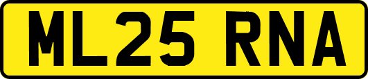 ML25RNA