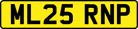 ML25RNP