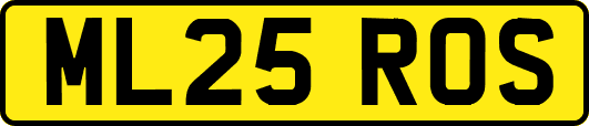 ML25ROS
