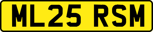 ML25RSM