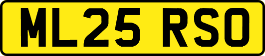 ML25RSO