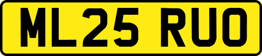ML25RUO