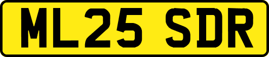 ML25SDR