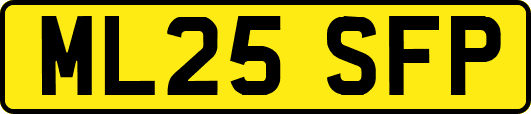 ML25SFP