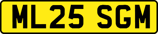 ML25SGM