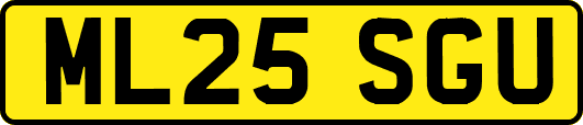 ML25SGU
