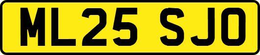 ML25SJO