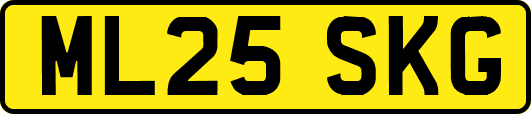 ML25SKG