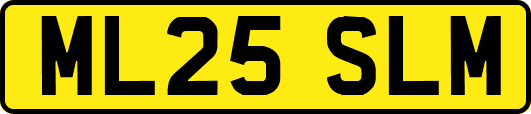ML25SLM