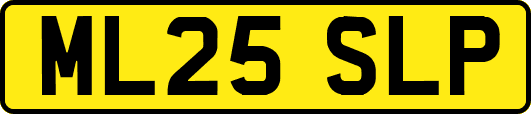 ML25SLP